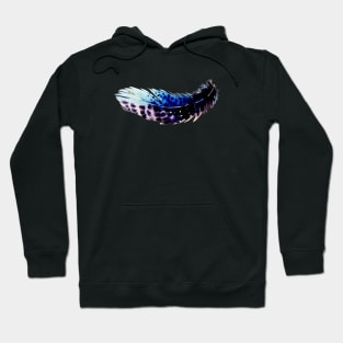 Boho Feathers Pattern Hoodie